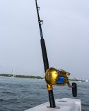 6' Blue/Gold Frigate Trolling Rods