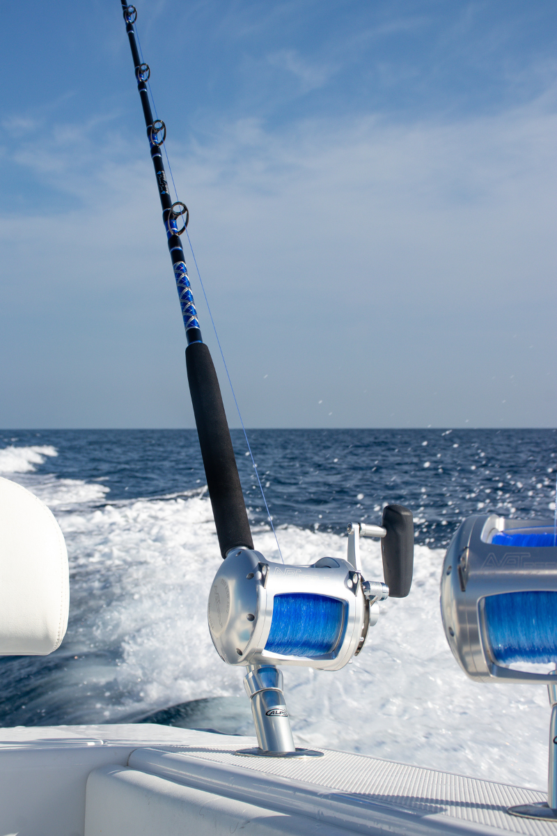 Albacore Stand-Up Rods