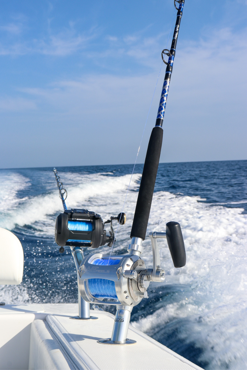 Blue/Silver Diamond Series Deep Drop Rods – Connley Fishing