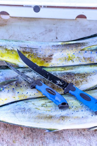 Fillet Kit Fishing Accessories by Connley Fishing