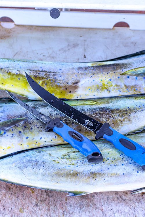 Fillet Kit Fishing Accessories by Connley Fishing