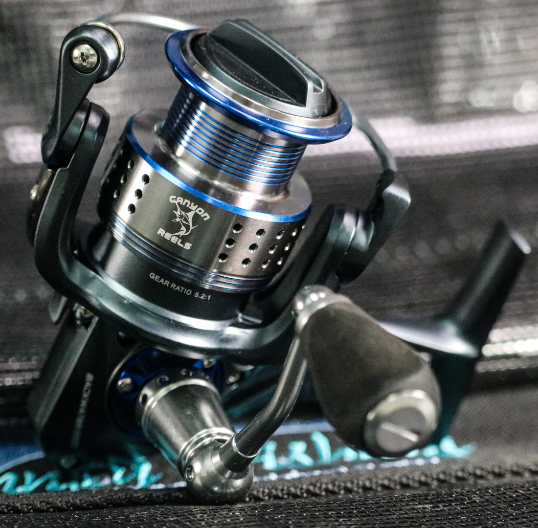 Canyon Backwater 2000 Spinning Reels - Blue/Silver