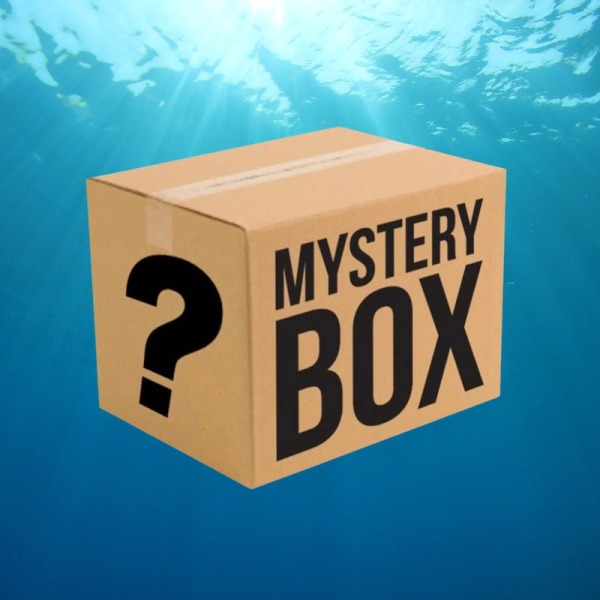 Connley Mystery Apparel Bag