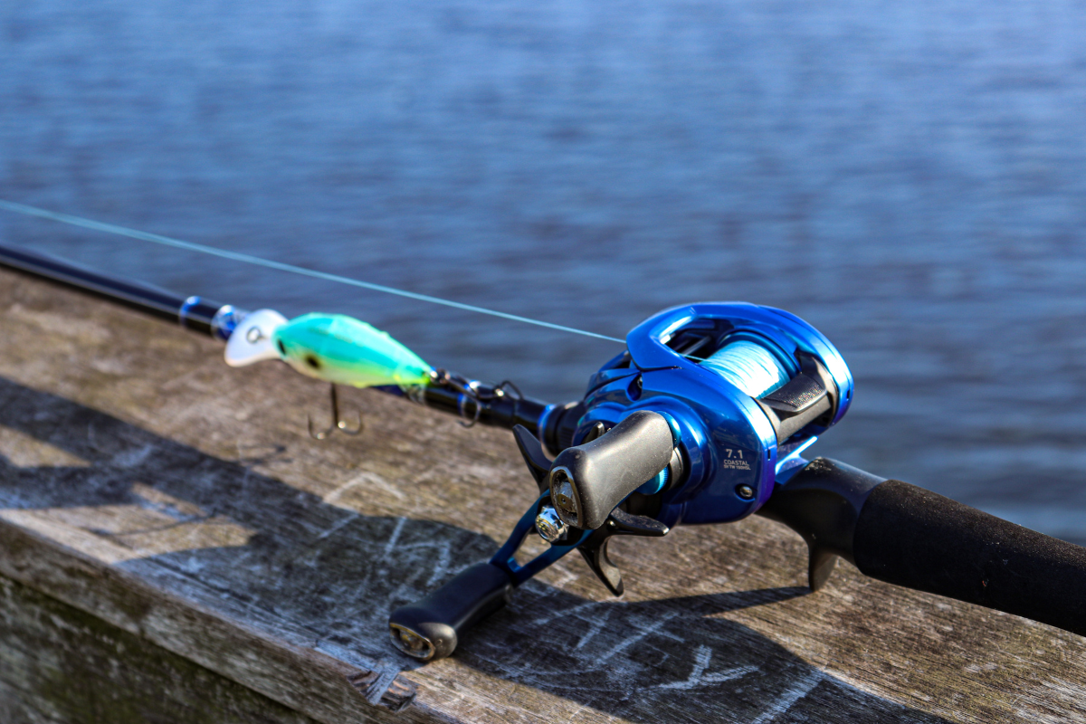 Swimbait reel - Fishing Rods, Reels, Line, and Knots - Bass Fishing Forums