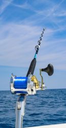 hawaiian abalone shell 6ft stand up trolling rods by connley fishing