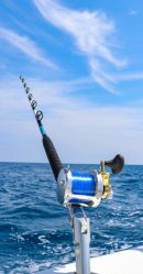 Hawaiian Abalone Shell 6ft Stand Up Trolling Rods
