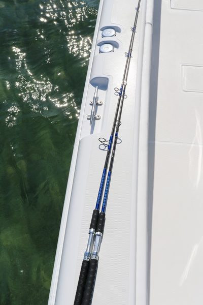 Platinum Series Graphite Spinning Rod by Connley Fishing