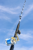 Limited Edition Hand-Painted Gray 6' Stand Up 30-80# Calstar Trolling Rods