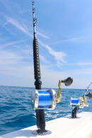 Limited Edition Hand-Painted Gray 6' Stand Up 30-80# Calstar Trolling Rods