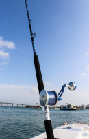 Diamond Tortuga 30-60# 7'