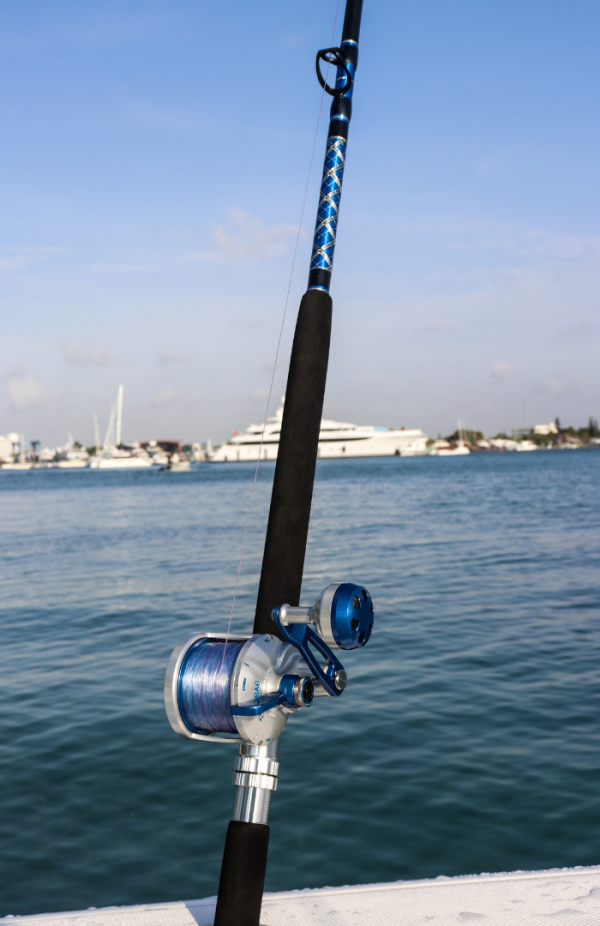 Diamond Tortuga 30-60# 7' - Image 6