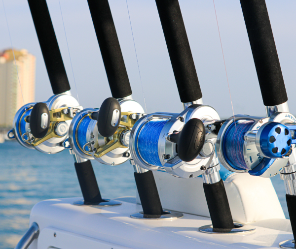 Diamond Tortuga 30-60# 7' - Image 3