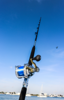 Diamond Tortuga 30-60# 7'