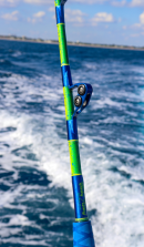 Custom Painted Mahi 6' 60-130# Trolling Rod w/ Winthrop Rollers