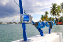 Custom Painted Mahi 7' 20-50# 700M Conventional Rod (Kingfish)