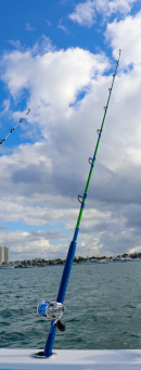 Custom Painted Mahi 7' 20-50# 700M Conventional Rod (Kingfish)