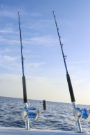 Diamond Standup Trolling 6'