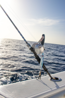 Diamond Carbon Fiber Slow Pitch Jigging 7'