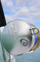Platinum Standup + Talica Combo - September Savings!