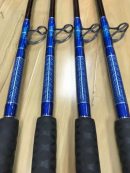 Calstar Daytime Swordfish Rod Design Close Up