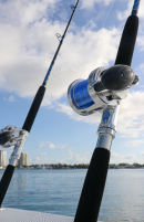 Blue Young Guns Kingfish 20-50#