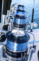 Blue Young Guns Sailfish Spin 15-50#