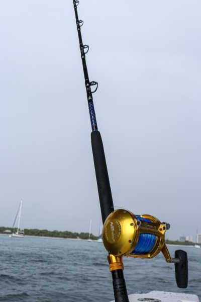 Blue/Gold Series