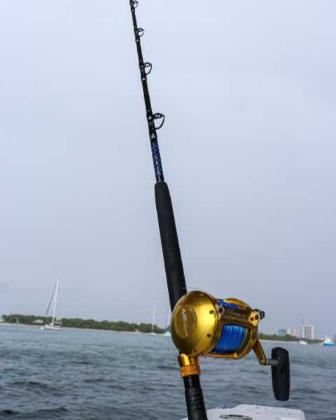 Blue/Gold Series