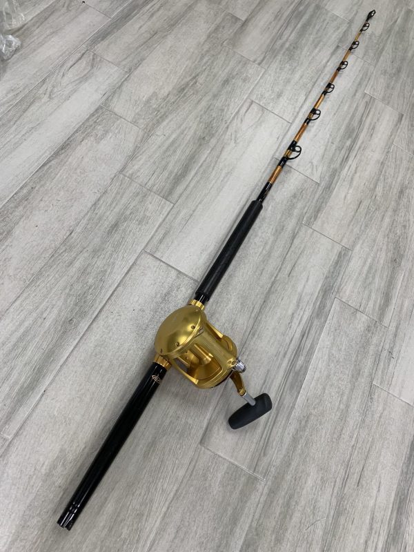 6' Stand Up 50-100# with Avet EXW 50 2 Speed Gold
