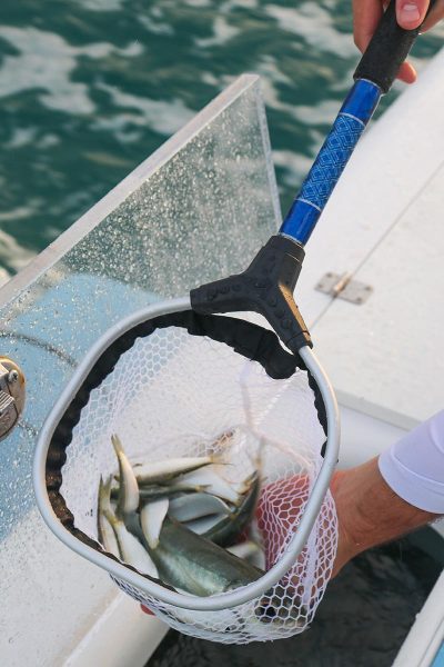 Bait Nets