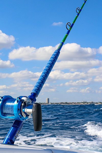Mahi Painted