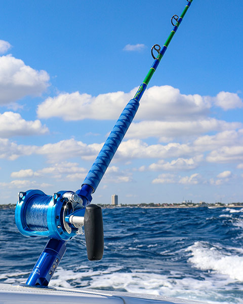 Mahi Painted