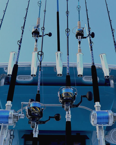 Rod Bundles