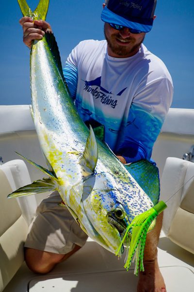 Mahi