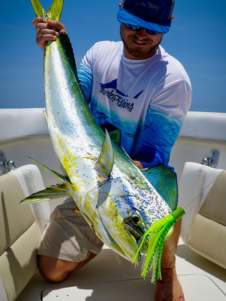 Mahi Archives Connley Fishing Mahi Archives Connley Fishing