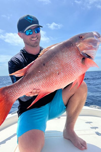Snapper