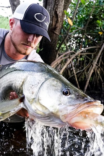 Snook