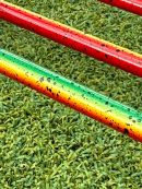 Rasta Painted Limited Edition Rods (Inshore Spin and Slow Pitch)