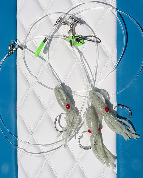 Rigs / Terminal Tackle