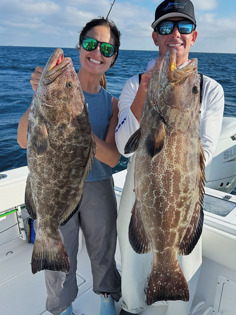 Shop by Species: Grouper Category