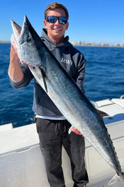 Kingfish