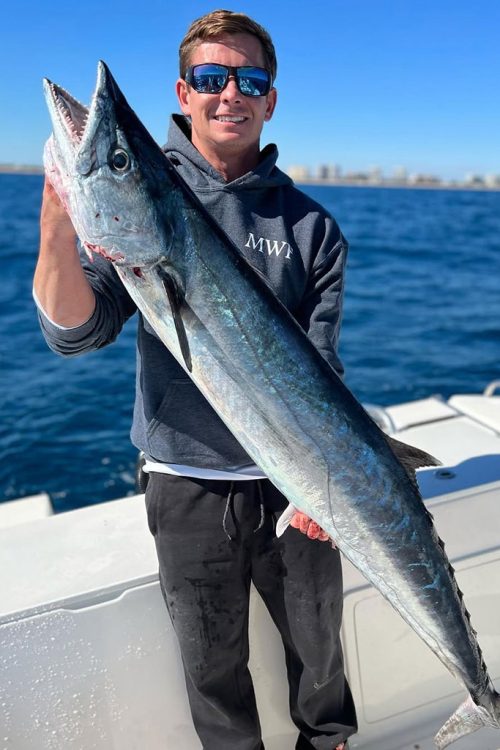 Kingfish