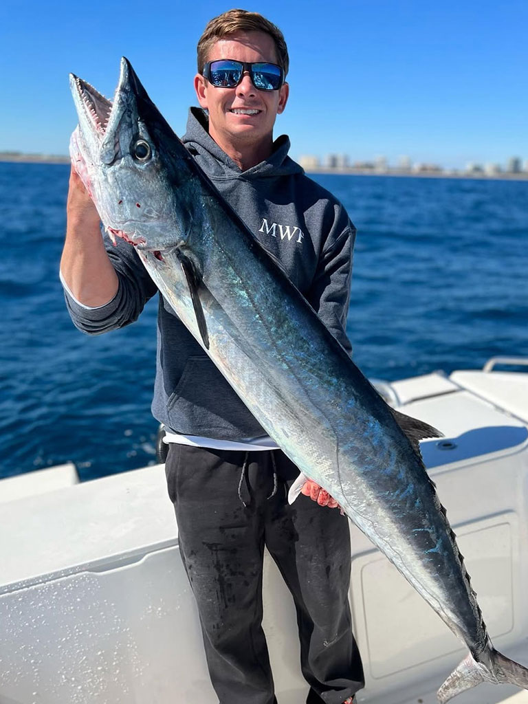 Shop by Species: Kingfish Category