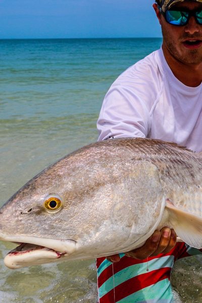 Redfish