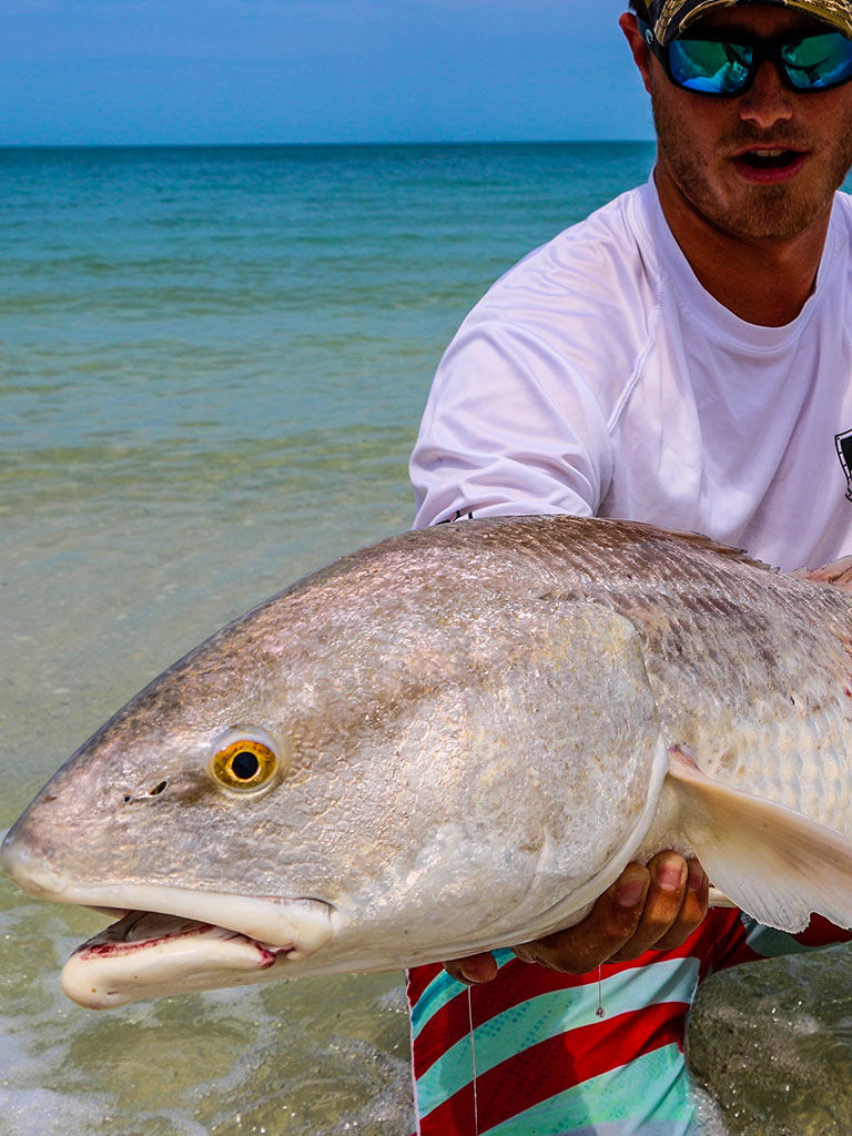 Shop by Species: Redfish Category