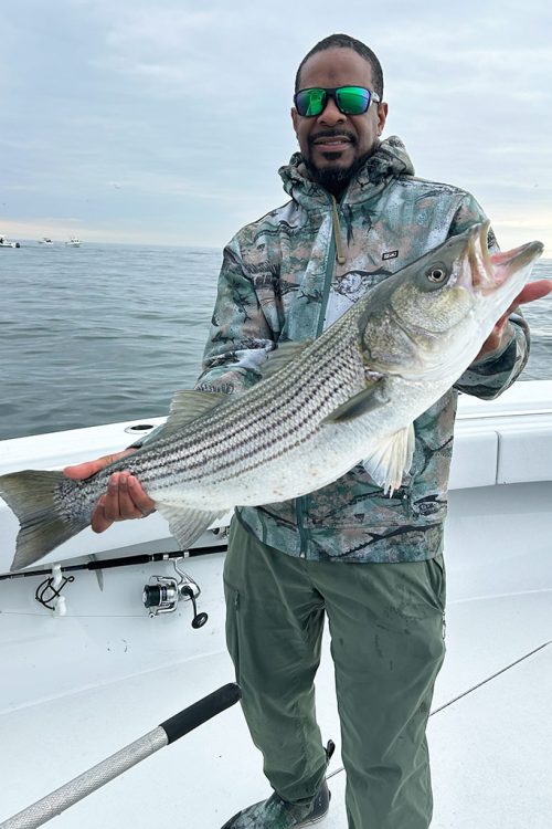 Striper