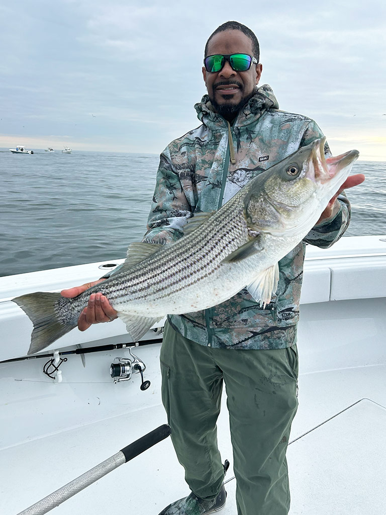 Shop by Species: Striper Category