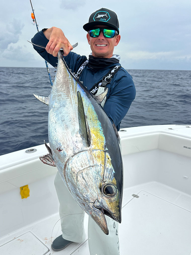 Shop by Species: Tuna Category