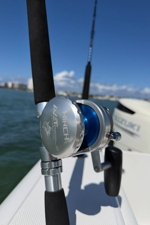 Avet JX3/S Winch - Exclusive Connley Blue/Silver