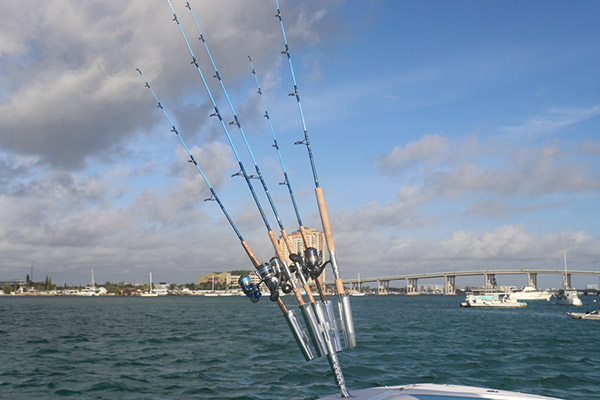 Inshore Pitch Rods